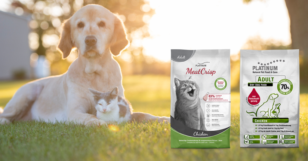 A dog and a cat free food sample